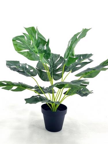 Piante artificiali per la casa