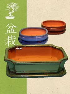 Fioriere per bonsai