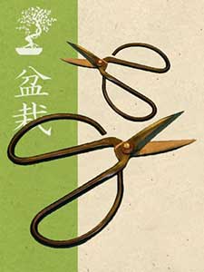 Strumenti per bonsai