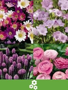 Confezioni risparmio di bulbi da fiore