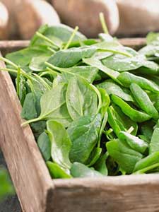 Spinaci