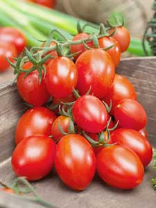 Pomodori