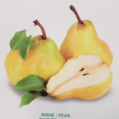 Pyrus C Williams Pyrus C Williams