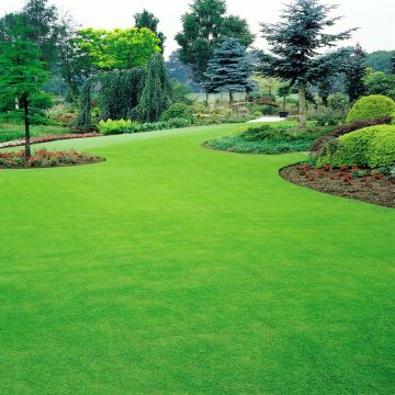 Lawn-Gazon