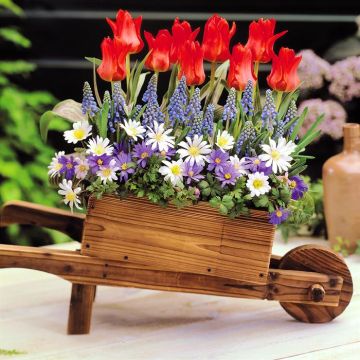 Carriola delle fiabe