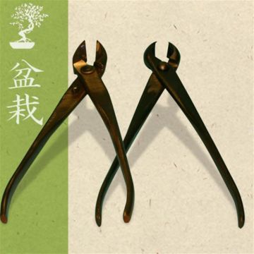 Bonsai Kniptang