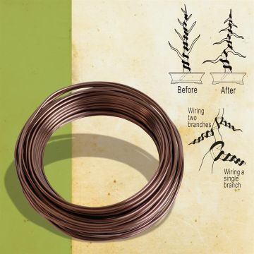 Training wire 2mm 80gr Japan-v2  (91032)