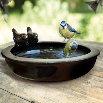 Vogelbad rond Black Vogelbad rond Black