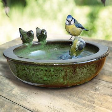 Vogelbad rond Green Vogelbad rond Green