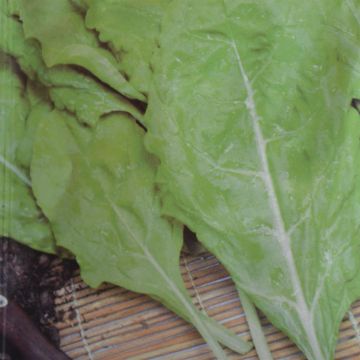 Swiss Chard Lucullus