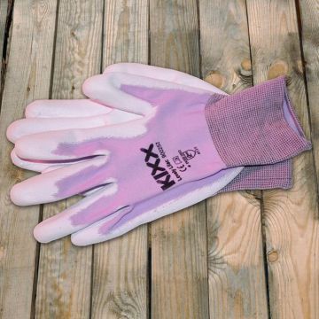 Lovely-Lilac-900252.jpg