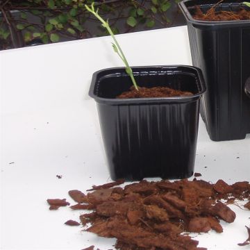 8711338201107.JPG 8711338201107.JPG