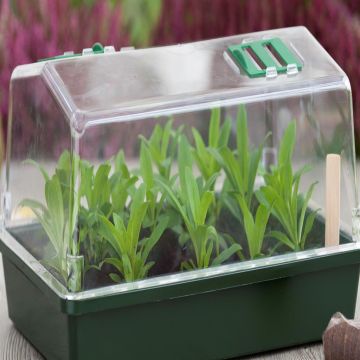 8711338202111.JPG 8711338202111.JPG