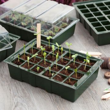 8711338202029.JPG 8711338202029.JPG