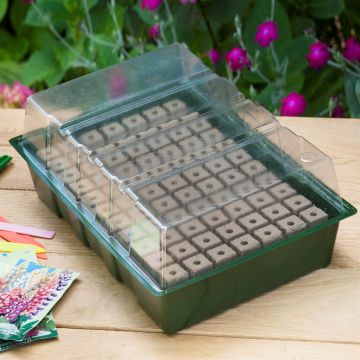 8711338202166.JPG 8711338202166.JPG