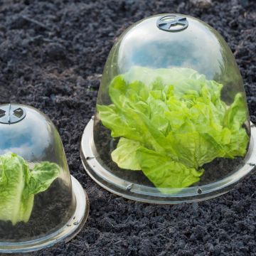 8711338202807 8711338202807