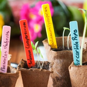 8711338203118.JPG 8711338203118.JPG