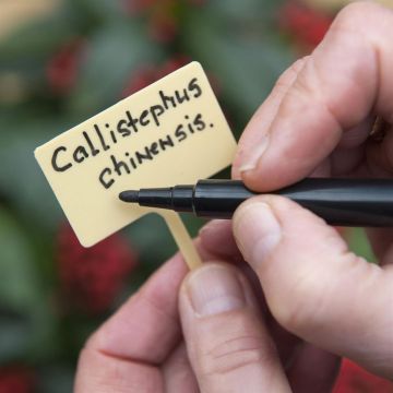 8711338203149.jpg 8711338203149.jpg