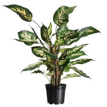 8711338702130.JPG 8711338702130.JPG