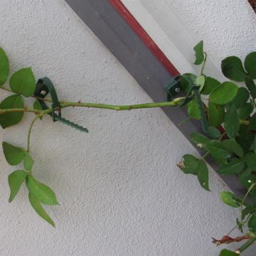 8711338404225.JPG 8711338404225.JPG