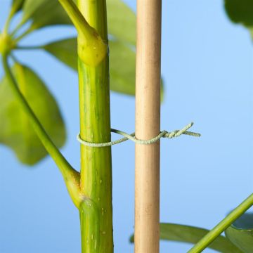 8711338404614 8711338404614