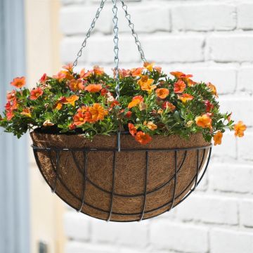 8711338701010.JPG 8711338701010.JPG