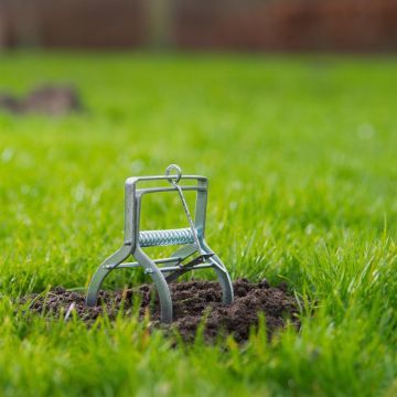 8711338601198 8711338601198