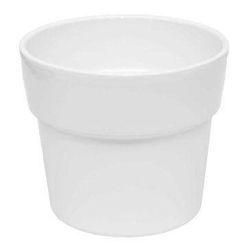 31.690-orch-pot-rim-wit.jpg 31.690-orch-pot-rim-wit.jpg