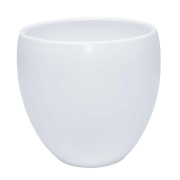 37.484-pot-rian-mat-wit.jpg 37.484-pot-rian-mat-wit.jpg