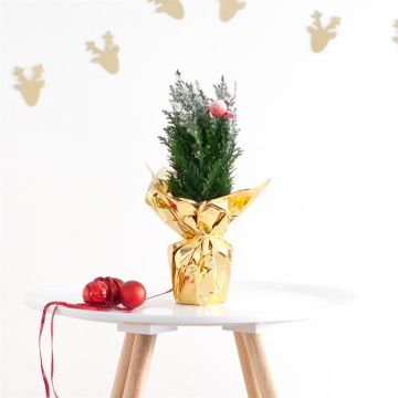 Mini kerstbom folie goud