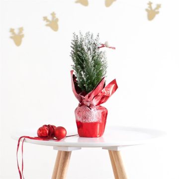 mini kerstboom folie rood