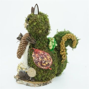 Squirrel birdfeeder with seeds