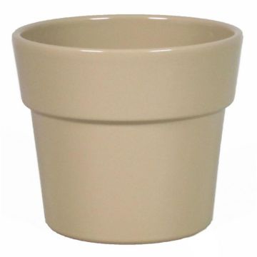 Orch. Pot Rim D13.5 H12.5cm es12 Taupe.jpg Orch. Pot Rim D13.5 H12.5cm es12 Taupe.jpg