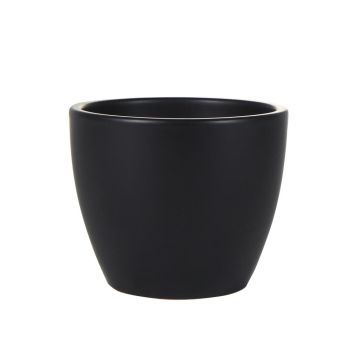 158421 Sven Glazed 158421 Sven Glazed