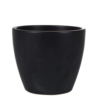 158423 Sven Glazed 158423 Sven Glazed