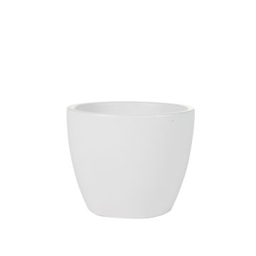 158440 Sven Glazed 158440 Sven Glazed