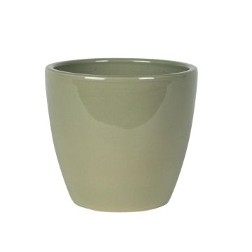 165868 Swen Glazed 165868 Swen Glazed