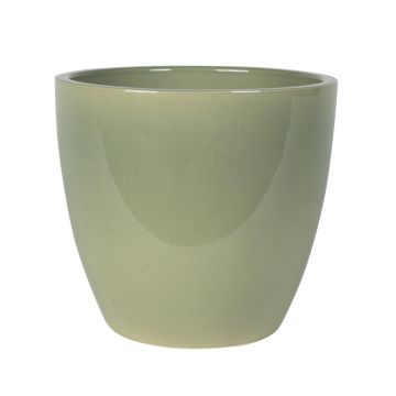 165869 Swen Glazed 165869 Swen Glazed