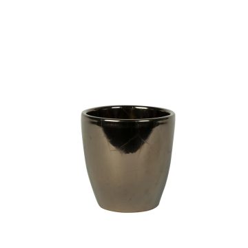 165875 Sven Glazed 165875 Sven Glazed