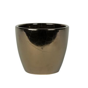 165878 Sven Glazed 165878 Sven Glazed