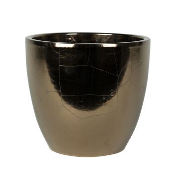 165879 Sven Glazed 165879 Sven Glazed