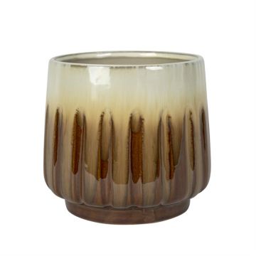 165923 Alice Glazed