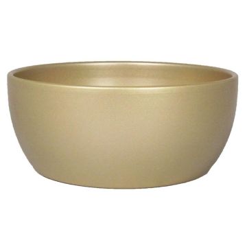 30.676Schaal boule parelgoud 22.5 cm.jpg 30.676Schaal boule parelgoud 22.5 cm.jpg