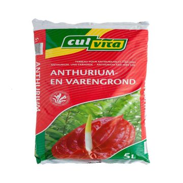 Culvita Anthurium en Varengrond 5 l Culvita Anthurium en Varengrond 5 l