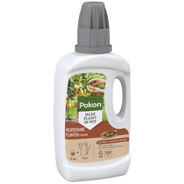 Pokon mediterrane planten 500 ml Pokon mediterrane planten 500 ml