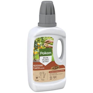 Pokon mediterrane planten 500 ml