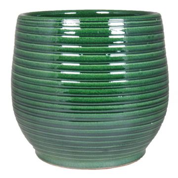 27.100 Pot Ilse Groen d 16 cm
