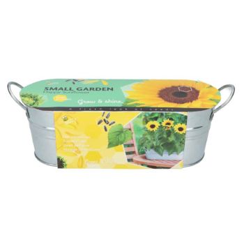 Dwarf Sunflower 085469