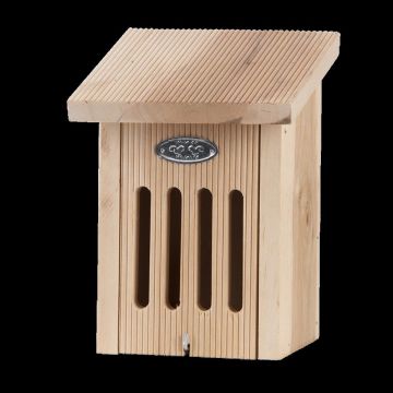 WA70 Vlinderkast in cadeaudoos