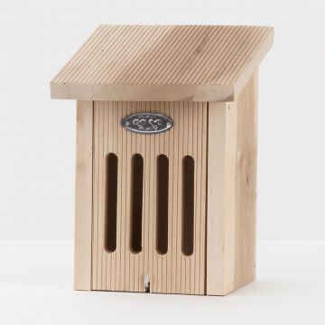 WA70 Vlinderkast in cadeaudoos